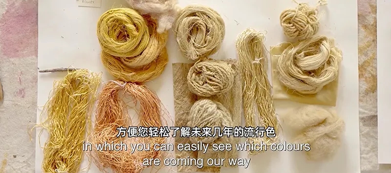 劳尔色彩趋势体验 (3).jpg